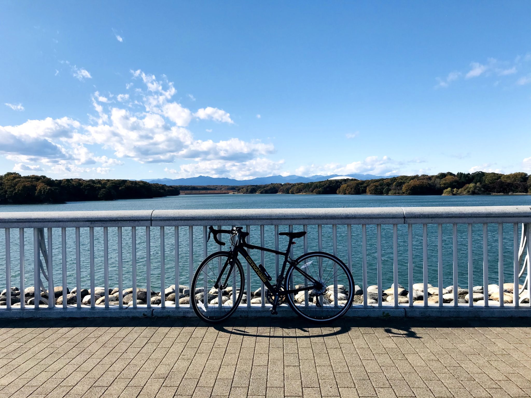 晴れた日の多摩湖とロードバイク